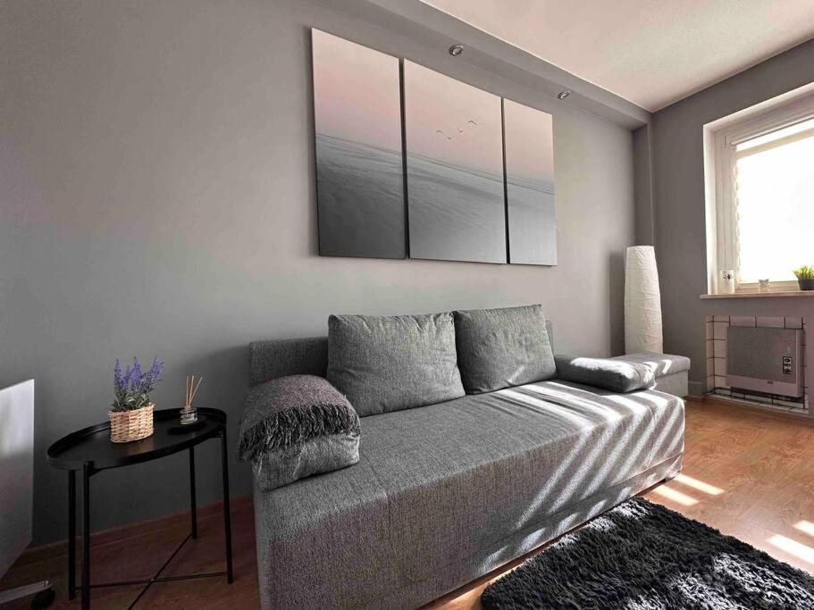 Cozy Place Zabrze Luaran gambar